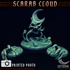 Picture of print of Scarab Cloud 100mm Pre-Supported