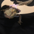 Lizard costume image