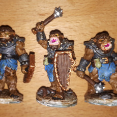 Picture of print of Bugbears (pre supported)