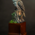 Tawny Frogmouth print image