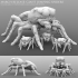 Giant Jumping Spiders image
