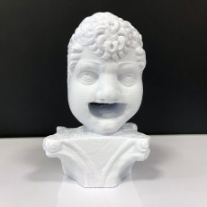 Picture of print of Rain Spout in the Form of a Mask