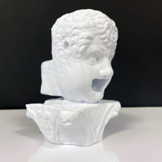 Picture of print of Rain Spout in the Form of a Mask