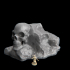 Skull Rock image