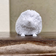Picture of print of Hedgehog