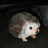 Hedgehog print image