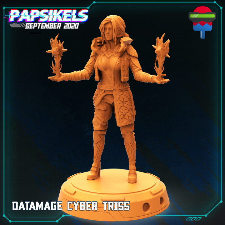 $2.99DATAMAGE CYBER TRISS