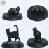 Companion Cats pack image