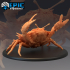 Giant Crab Angry / Sea Monster image
