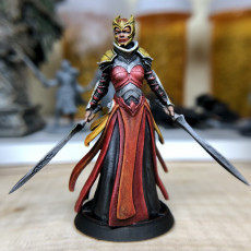 Picture of print of Female Knight