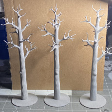 Picture of print of Magnetic Tabletop Trees