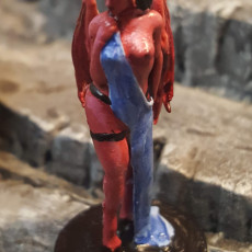 Picture of print of Succubus - Tabletop Miniature