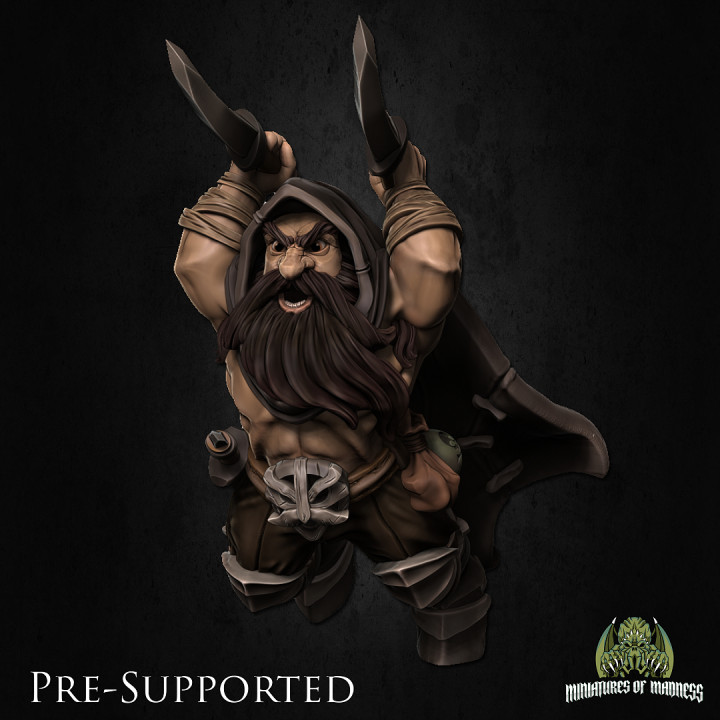 Kogan The Raider [PRE-SUPPORTED] Dwarf Rogue's Cover