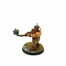 Picture of print of Doli The Smasher [PRE-SUPPORTED] Dwarf Fighter
