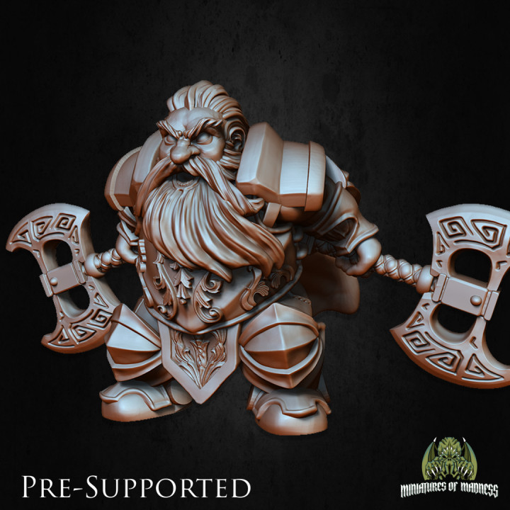 Sinar The Fearless [PRE-SUPPORTED] Dwarf Fighter's Cover