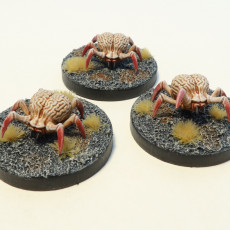 Picture of print of Brain Spiders