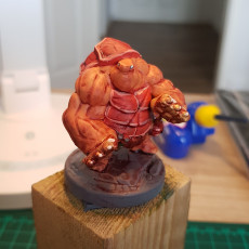 Picture of print of Tortle Brawler Miniature - Pre-Supported This print has been uploaded by Jan Schillmöller