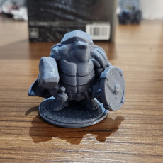 Picture of print of Tortle Cleric Miniature - Pre-Supported