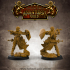 Level Up Paladins - Female (3x modular 32mm scale miniatures) PRESUPPORTED image