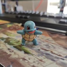 Picture of print of Squirtle(Pokemon)