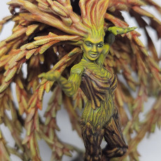 Picture of print of Sulsillys, Willow Dryad of Summer