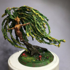 Picture of print of Felillyah, Willow Dryad of Summer