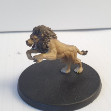 Picture of print of Raios- Lion Gladiator - 32mm - DnD