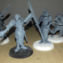 Elven Leaders Set, 2 Miniatures, Dungeons&Dragons !FREE!, !SUPPORTS! image
