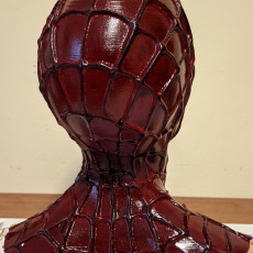 Picture of print of SPIDERMAN Bust