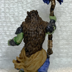 Picture of print of SHAMAN orc supports ready
