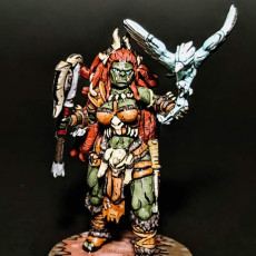 Picture of print of Female orc warrior 1 supports ready