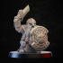 Dwarf with sheld and sword image