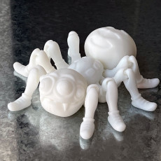 Picture of print of Cute Flexi Print-in-Place Spider
