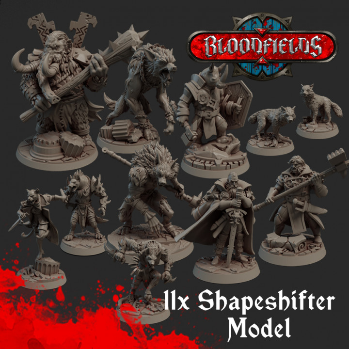11x Shapeshifter Model's Cover