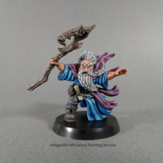 Picture of print of Hesur Strormbearer -[PRE-SUPPORTED] Dwarf Wizard