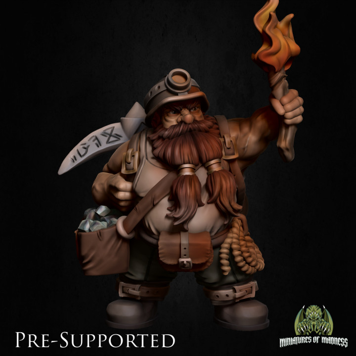 Baldur The Adventurer [PRE-SUPPORTED] Dwarf Miner's Cover