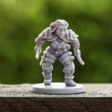 Picture of print of Felin Fastep [PRE-SUPPORTED] Female Dwarf Rogue