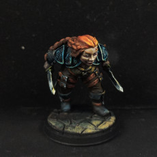 Picture of print of Felin Fastep [PRE-SUPPORTED] Female Dwarf Rogue