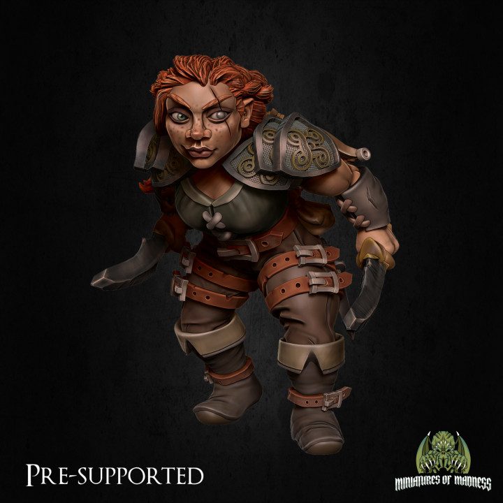 Felin Fastep [PRE-SUPPORTED] Female Dwarf Rogue's Cover
