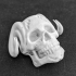 Horned skull image
