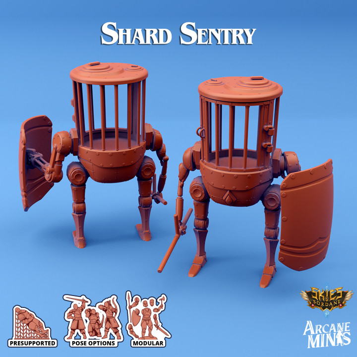 Shard Sentry's Cover