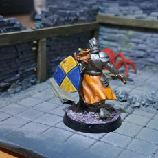 Picture of print of Human Paladin - Arrodan Syndicate