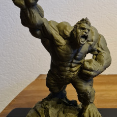 Picture of print of Crazy Hulk Support Free Remix