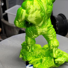 Picture of print of Crazy Hulk Support Free Remix