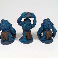 Picture of print of Stone Troll