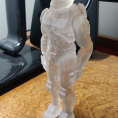 Picture of print of Halo Master Chief Support Free