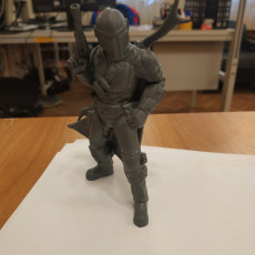 Picture of print of The Mandalorian Support Free Remix Pose 1/5