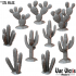 Cactuses image
