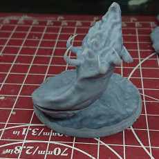 Picture of print of Water Dragon + base