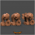 Bear Pack - Pet, Carrier, Armored image